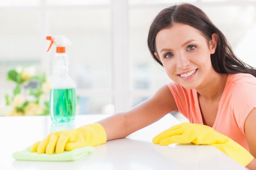 Professional oven cleaning for a W1J kitchen