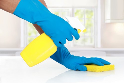 Professional carpet cleaning team inspecting a carpet in W1J