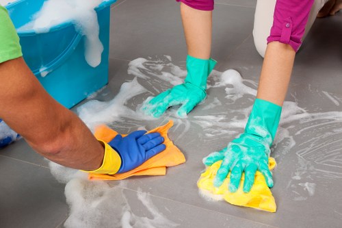 Domestic cleaning for a central London home in W1J