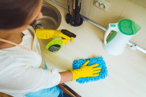 Carpet cleaning service terms and conditions introduction