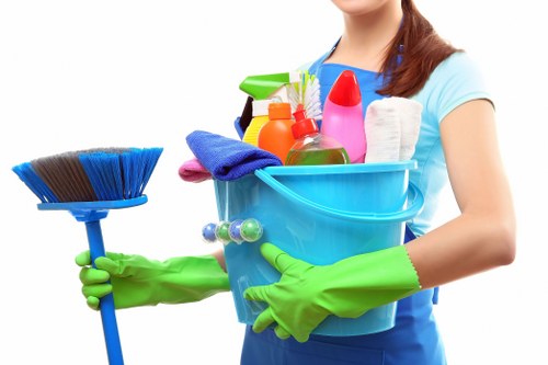 Deep domestic cleaning in a W1J townhouse interior
