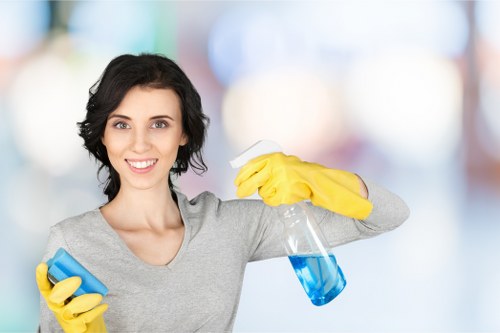 Oven cleaning for a modern central London property in W1J