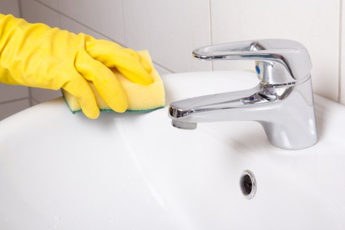 Residential window cleaning for a home near Mayfair