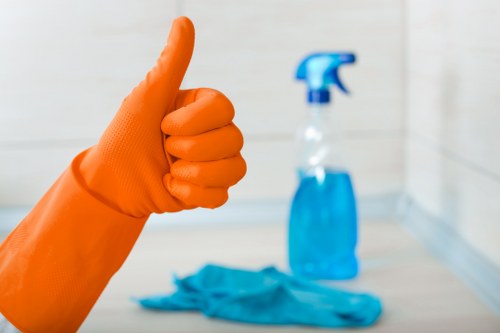 Step-by-step upholstery cleaning process for sofas in W1J