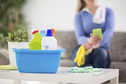 Quotation request for carpet cleaning in W1J image 5