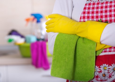 Professional cleaner working in a Mayfair area home near W1J
