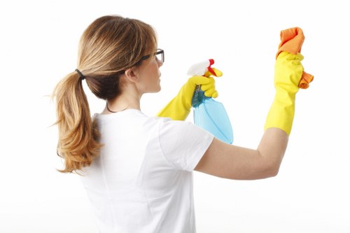Deep carpet cleaning for residential and commercial spaces in W1J