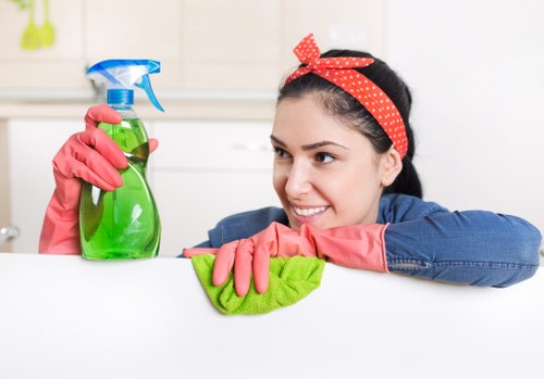 Detailed oven cleaning for a flat or business in W1J